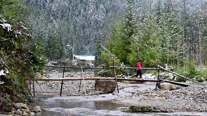 雪中小河独木桥乡村雪景乡愁农村场景