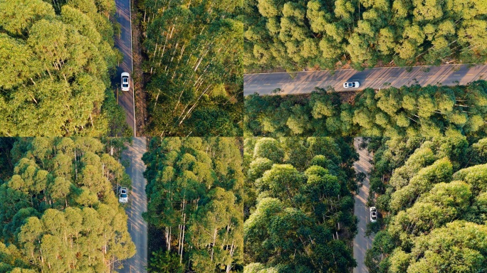 轿车行驶在林间道路航拍 4K