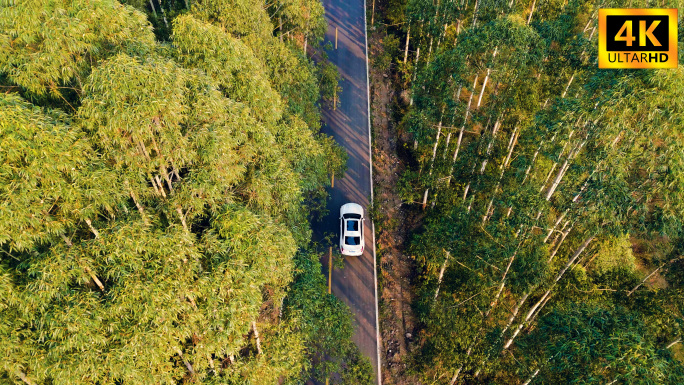 轿车行驶在林间道路航拍 4K