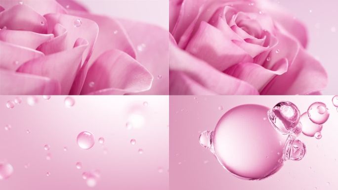 玫瑰花开精华（含C4D工程）