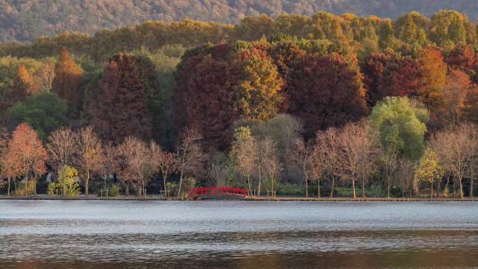 江苏南京灵山风景区前湖秋天秋色延时
