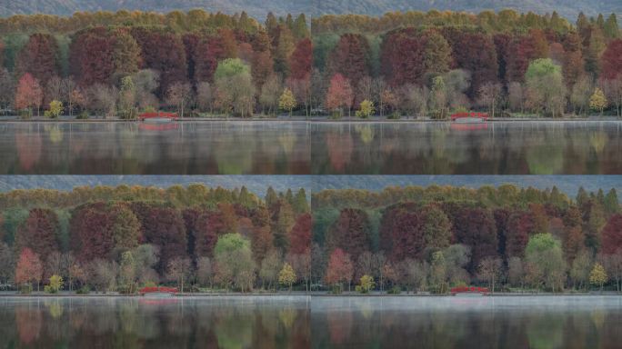 江苏南京灵山风景区前湖秋天秋色延时