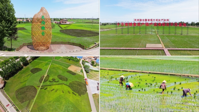 天府粮仓水稻种植栽秧乡村振兴