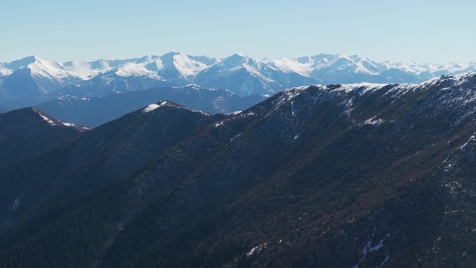 4k航拍森林草原雪山