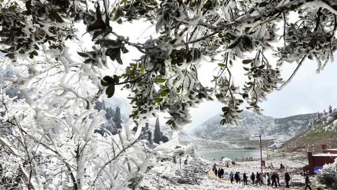 重庆南川：金佛山冰雪醉客来