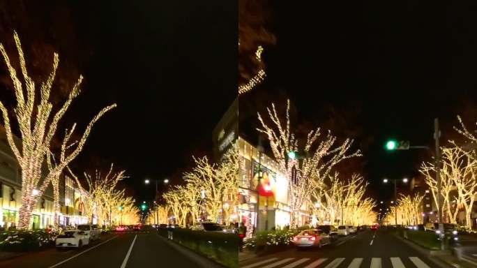 东京表参道的圣诞灯饰