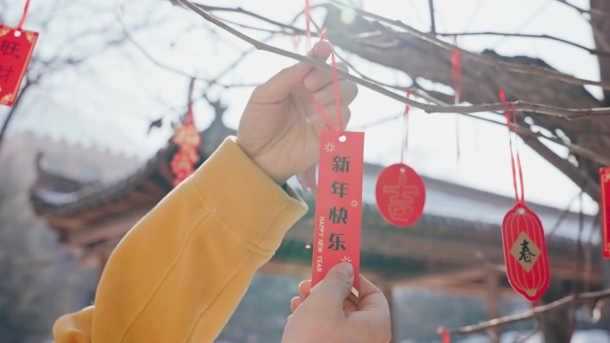 2025蛇年春节挂灯笼贴春联唯美素材