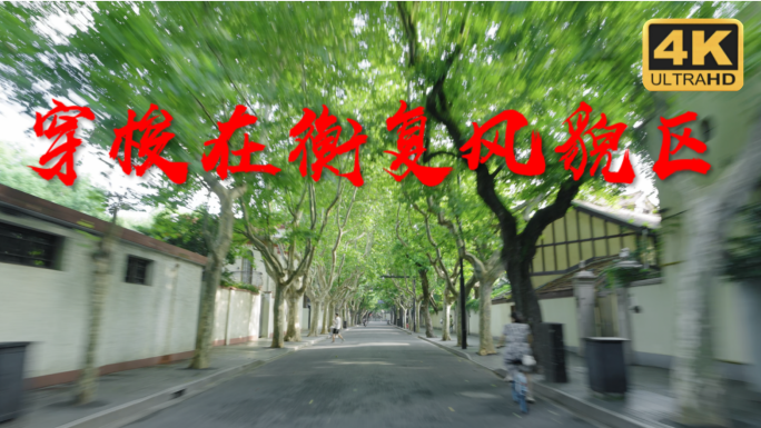 梧桐树下 徐汇区 穿梭在衡复风貌区 上海