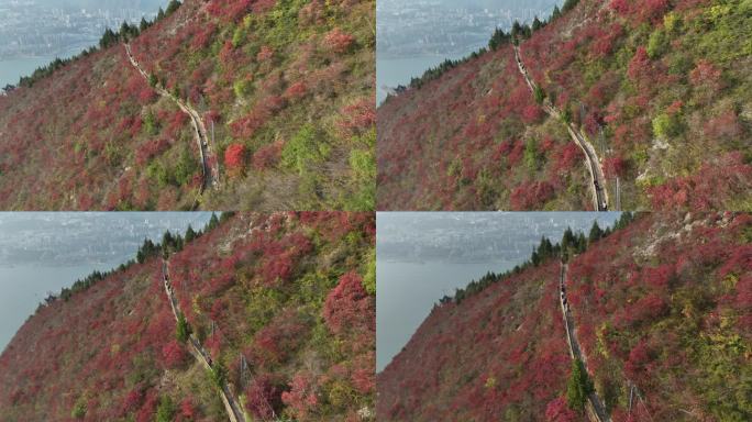 长江三峡巫峡红叶