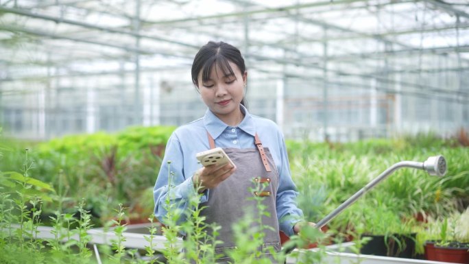 一位年轻女性在温室里使用智能手机。