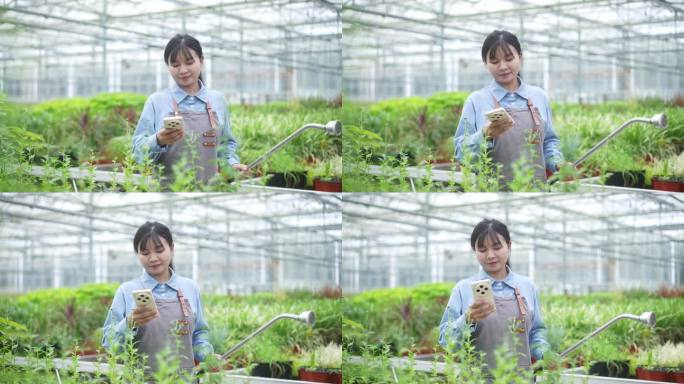 一位年轻女性在温室里使用智能手机。