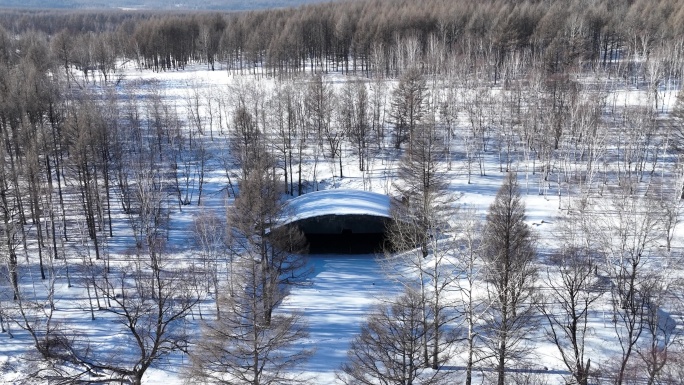 探秘森林中的侵华日军飞机窝遗址