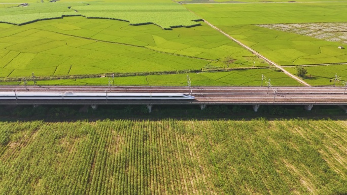高铁经过绿色田野