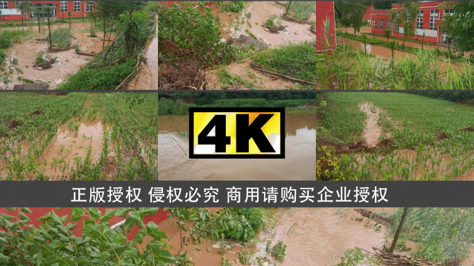暴雨山洪 自然灾害