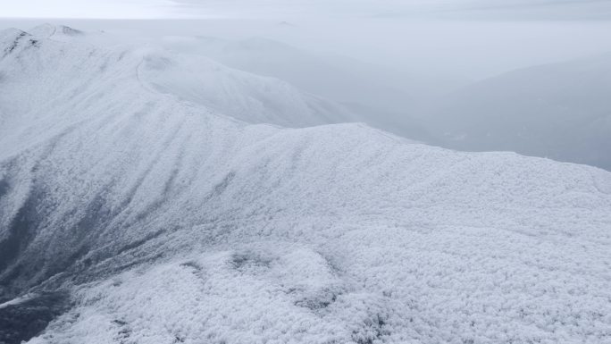 航拍天目山脉龙王山雾凇雪景风光