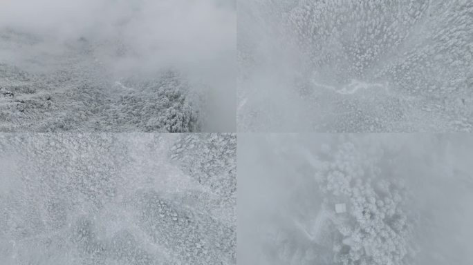 云上西岭雪山 冬季日月坪山顶云海森林航拍