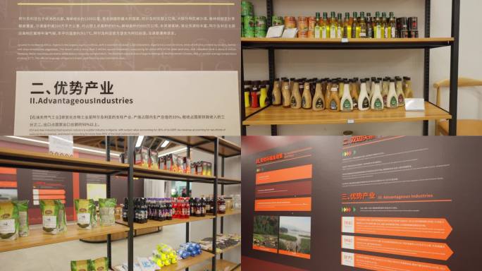 中非经贸论坛 非洲展示馆2