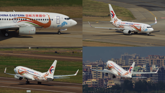 东方航空波音B737孔雀彩绘起飞过程