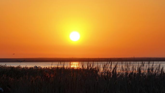 居延海
