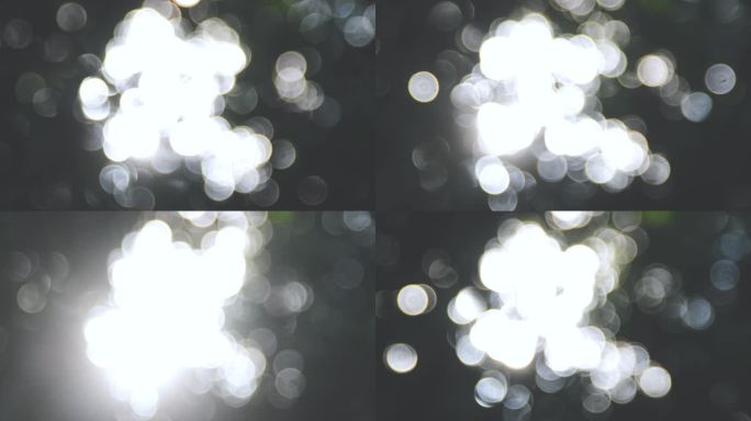 实拍树影虚化散景光晕光斑背景