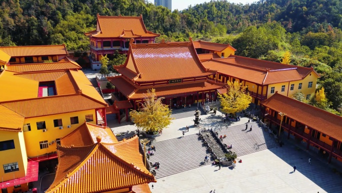 航拍长沙洗心禅寺银杏叶