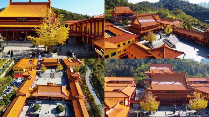 航拍长沙洗心禅寺银杏叶