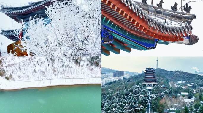 汇总山东各地降雪美景