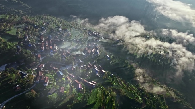 梯田 早晨 山中雾气  少数民族聚集地