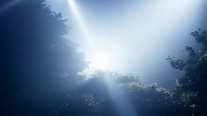 明亮 光影 柔光点缀 背景渗透 深邃柔美