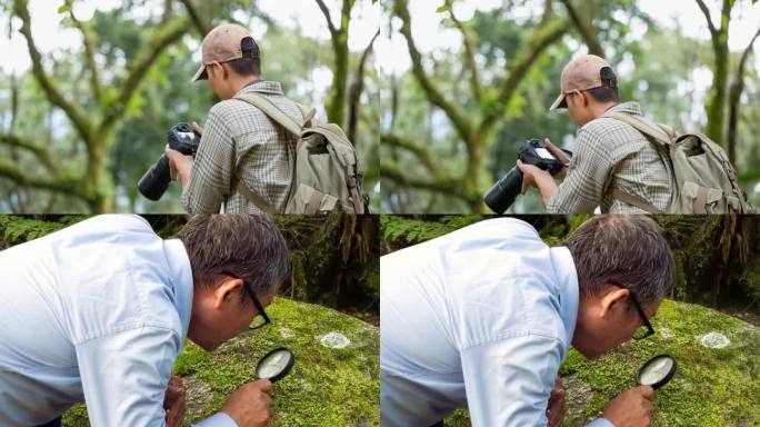 野外考察观察调研植物学家