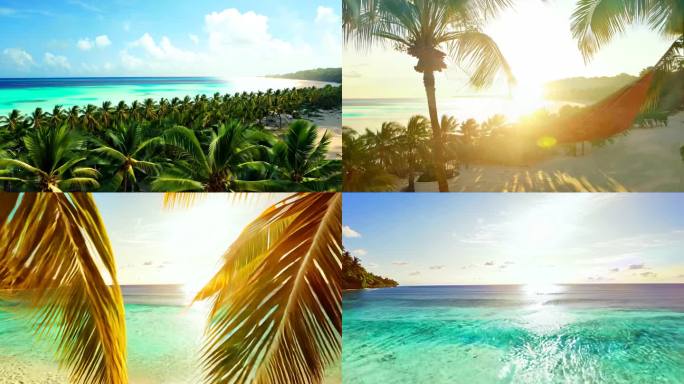 热带椰林 碧海蓝天 悠然浪漫画面