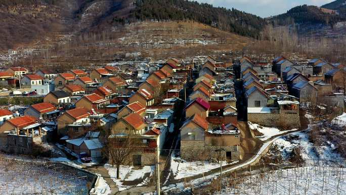 冬日山村雪景 宁静的乡村雪景 节气 大雪