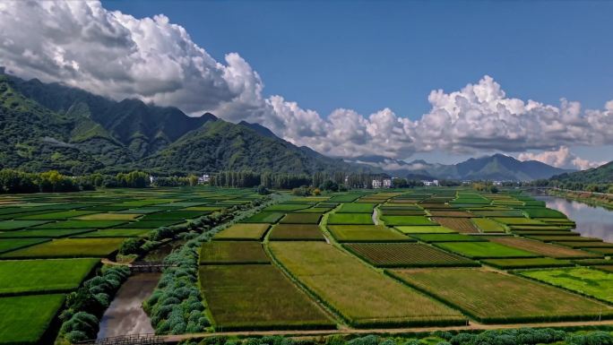 农村美景乡村振兴三农脱贫攻坚农业古村落