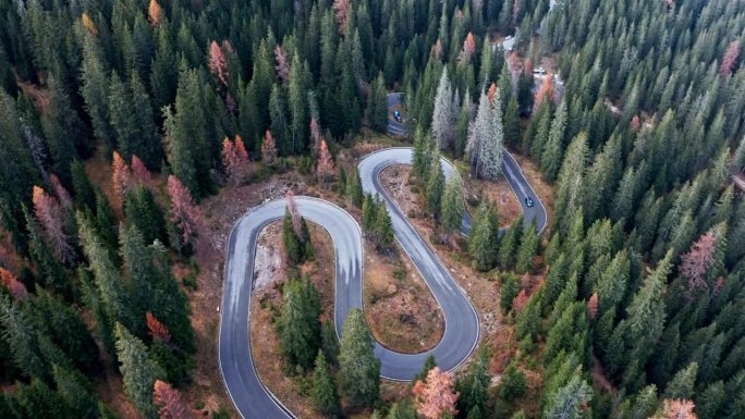 一条蜿蜒的道路从空中视角穿过秋色浓郁的密林。