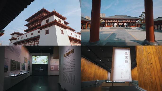 南阳医圣祠 张仲景文化园 张仲景博物馆