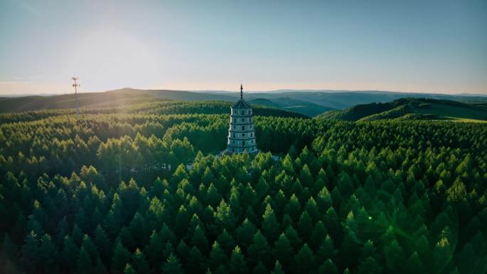 塞罕坝林场国家森林公园航拍4K