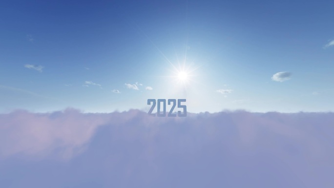迈向2025