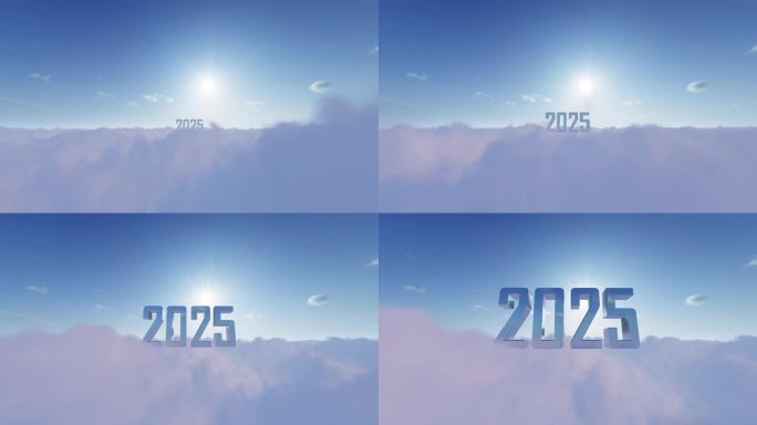 迈向2025