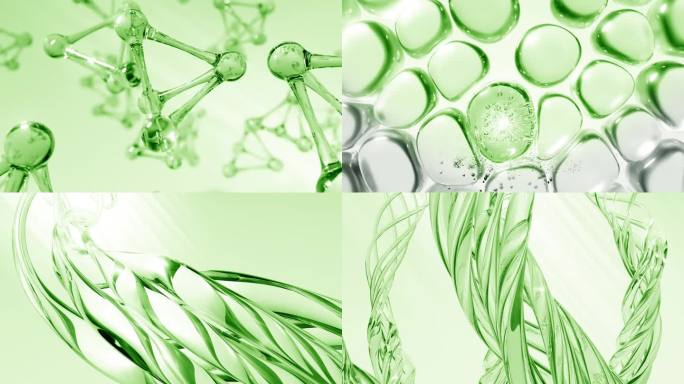 绿色植物蛋白精华分子