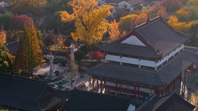 浙江嘉兴梅花洲石佛寺千年银杏航拍