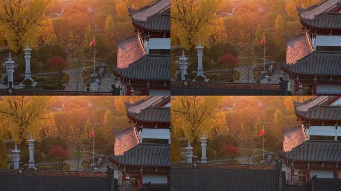 浙江嘉兴梅花洲石佛寺千年银杏航拍