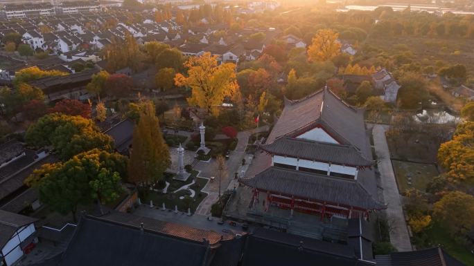 浙江嘉兴梅花洲石佛寺千年银杏航拍