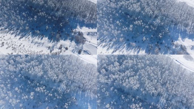 乌兰布统雾凇雪景雪林航拍