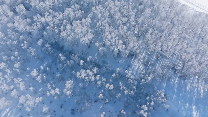 乌兰布统雾凇雪景雪林航拍