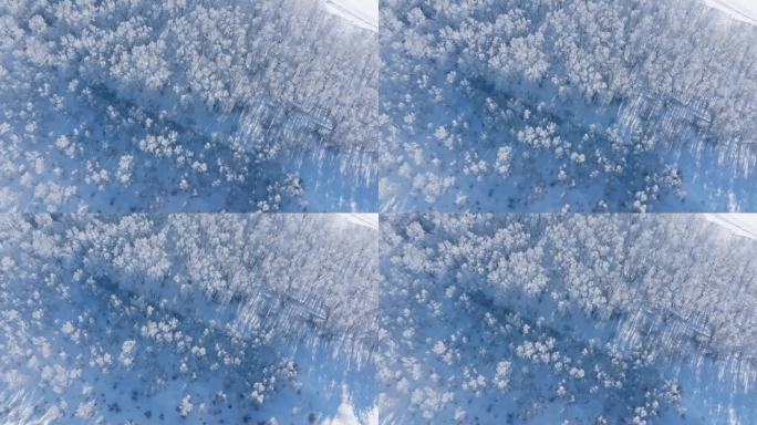 乌兰布统雾凇雪景雪林航拍