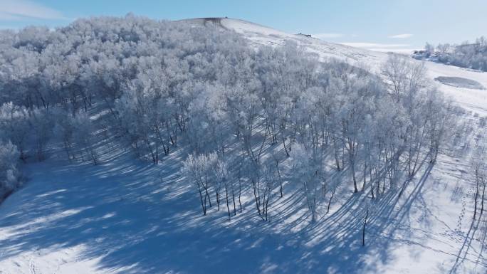 乌兰布统雾凇雪景雪林航拍