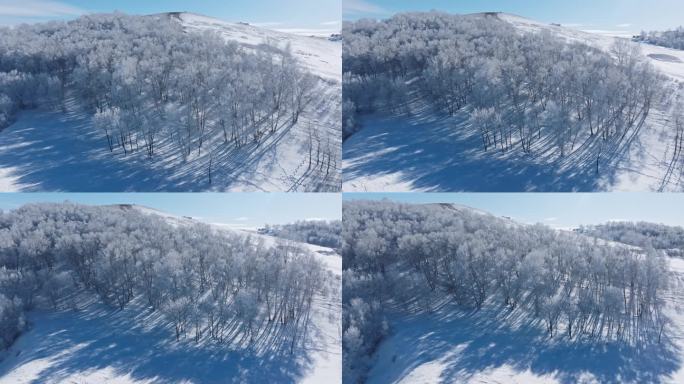 乌兰布统雾凇雪景雪林航拍