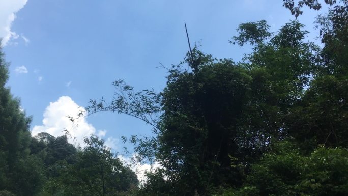 漂流风景