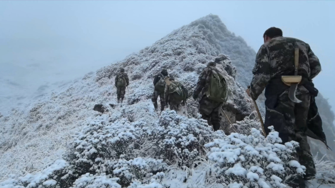 登雪山巡山队员艰苦工作森林保护边疆