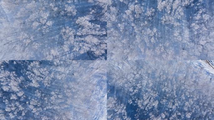 乌兰布统雾凇雪景雪林航拍